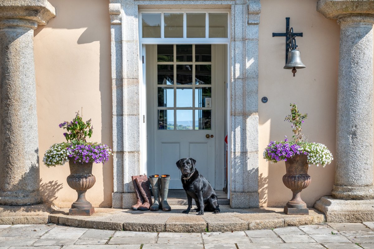 Dog Friendly Holiday Home - Pentillie Castle, by Grey Dog Images
